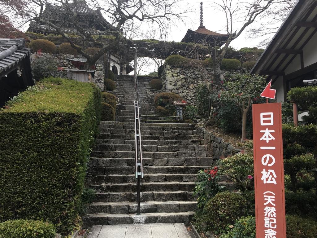 善峯寺　回遊式庭園への階段