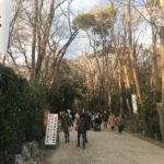 下鴨神社　初詣　糺の森