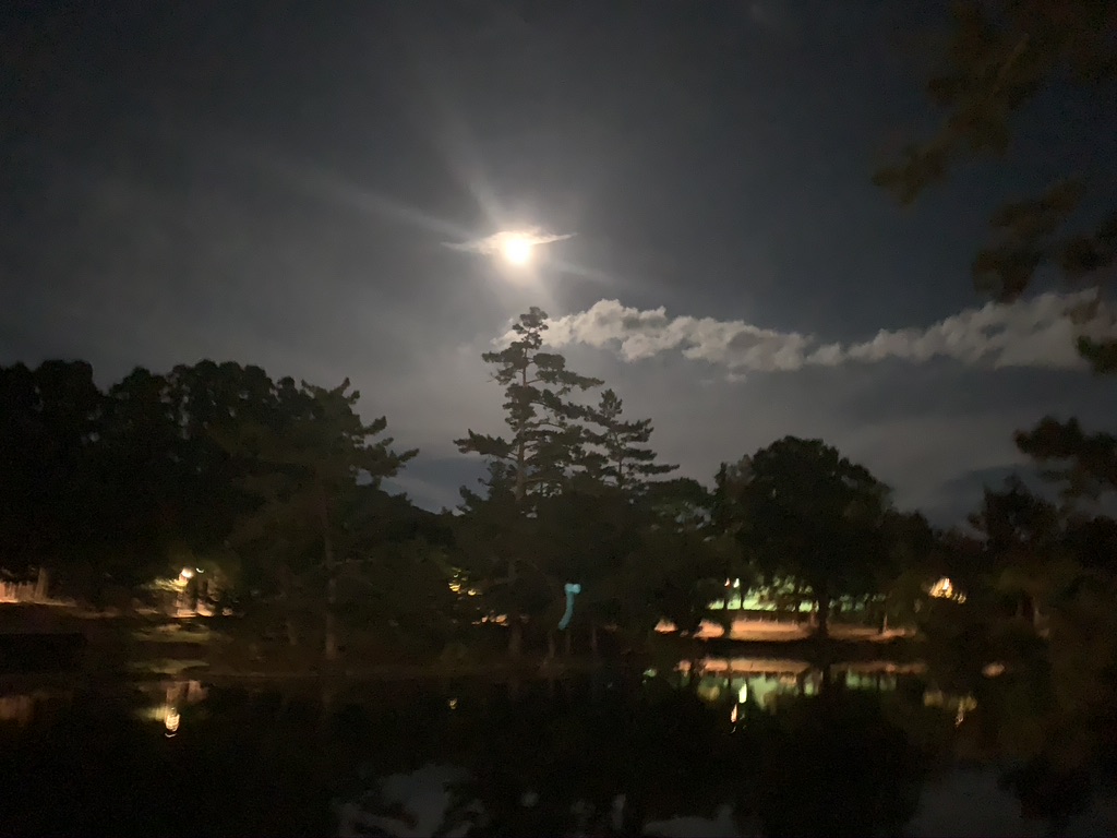 東大寺　鏡池　月　夜間