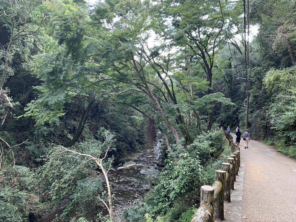箕面の滝　滝道