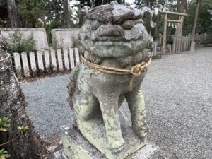 岸和田七宮詣　積川神社　狛犬
