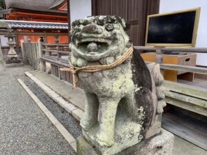 岸和田七宮詣　積川神社 狛犬