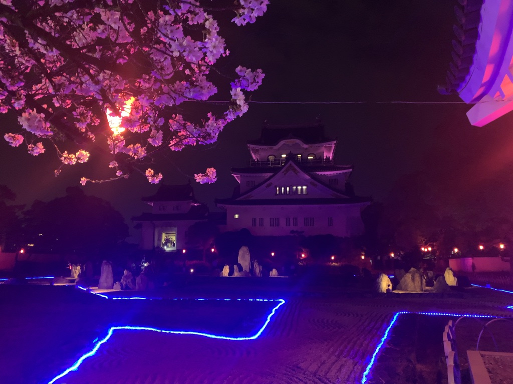 『岸和田市お城まつり』岸和田城庭園「八陣の庭」や桜をライトアップ