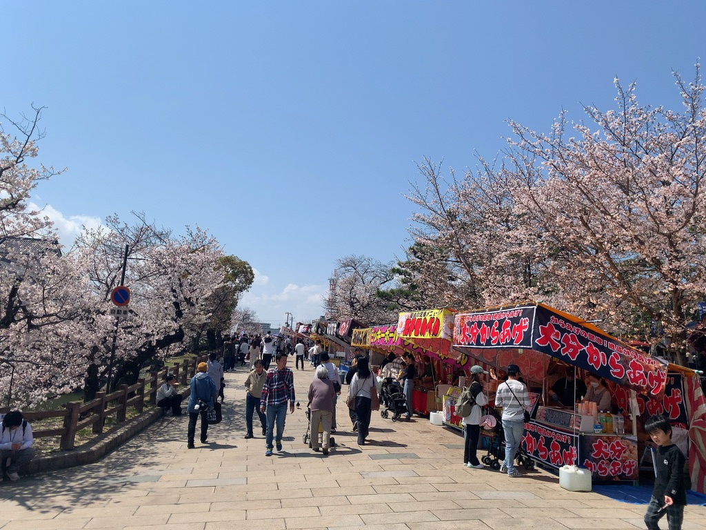 『岸和田城』に咲く桜と出店