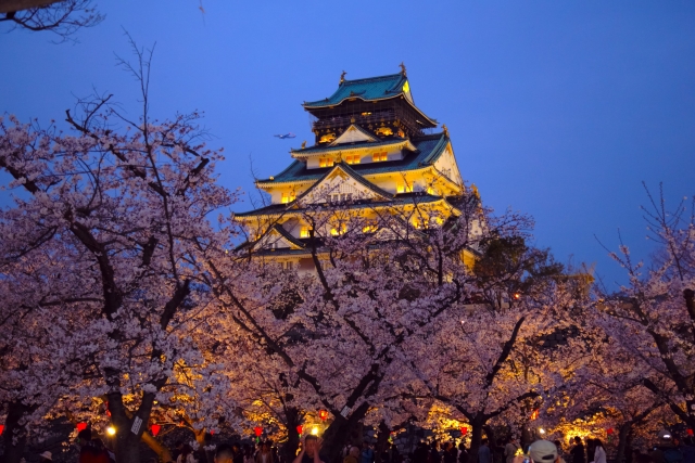 大阪城公園 桜 ライトアップ 