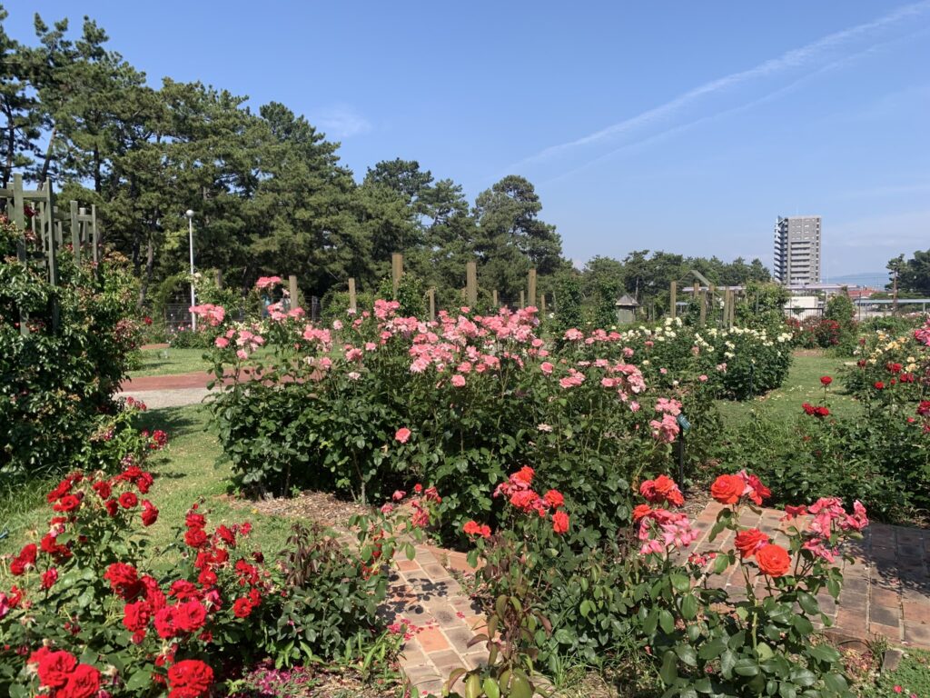 『浜寺公園』「まちの景」の様子(2026年6月1日)