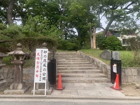『住吉大社』の「卯の花苑」に咲く卯ノ花（2026年5月6日）