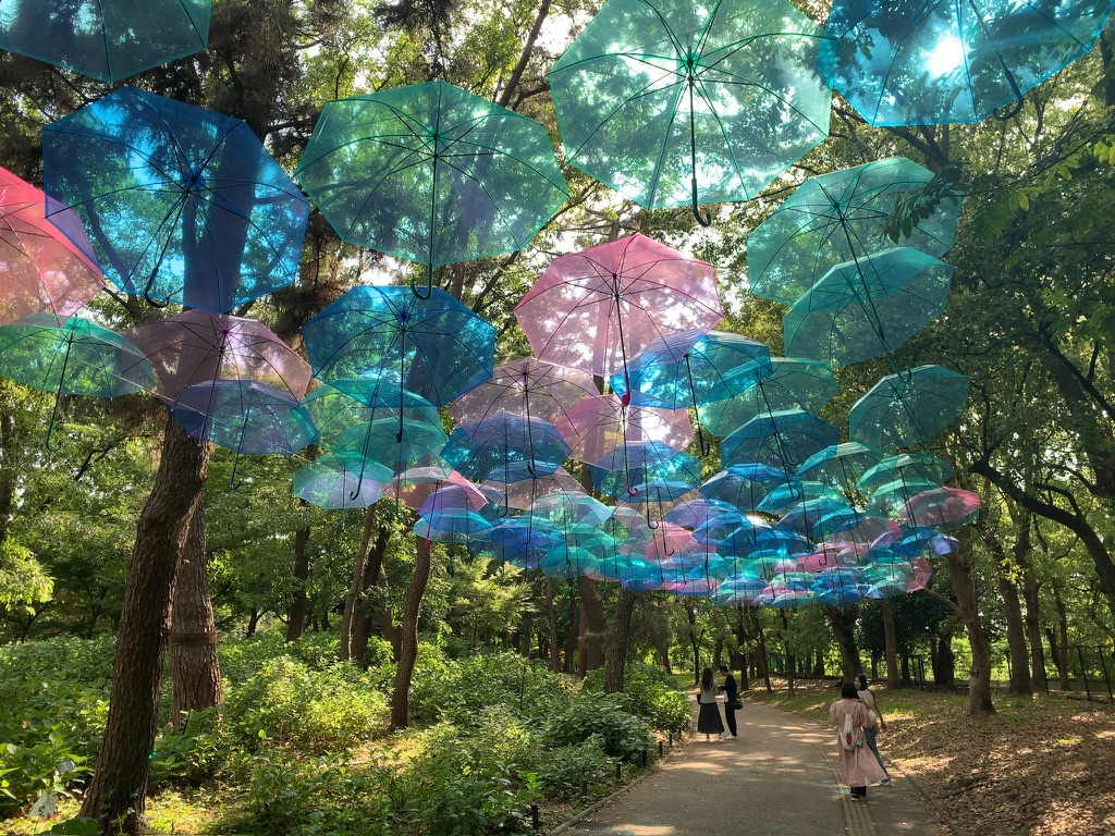 『長居植物園』のアンブレラスカイ