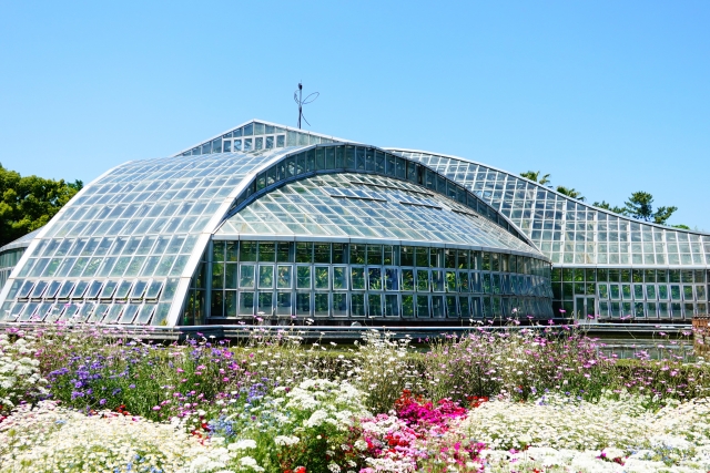 『京都府立植物園』の温室
