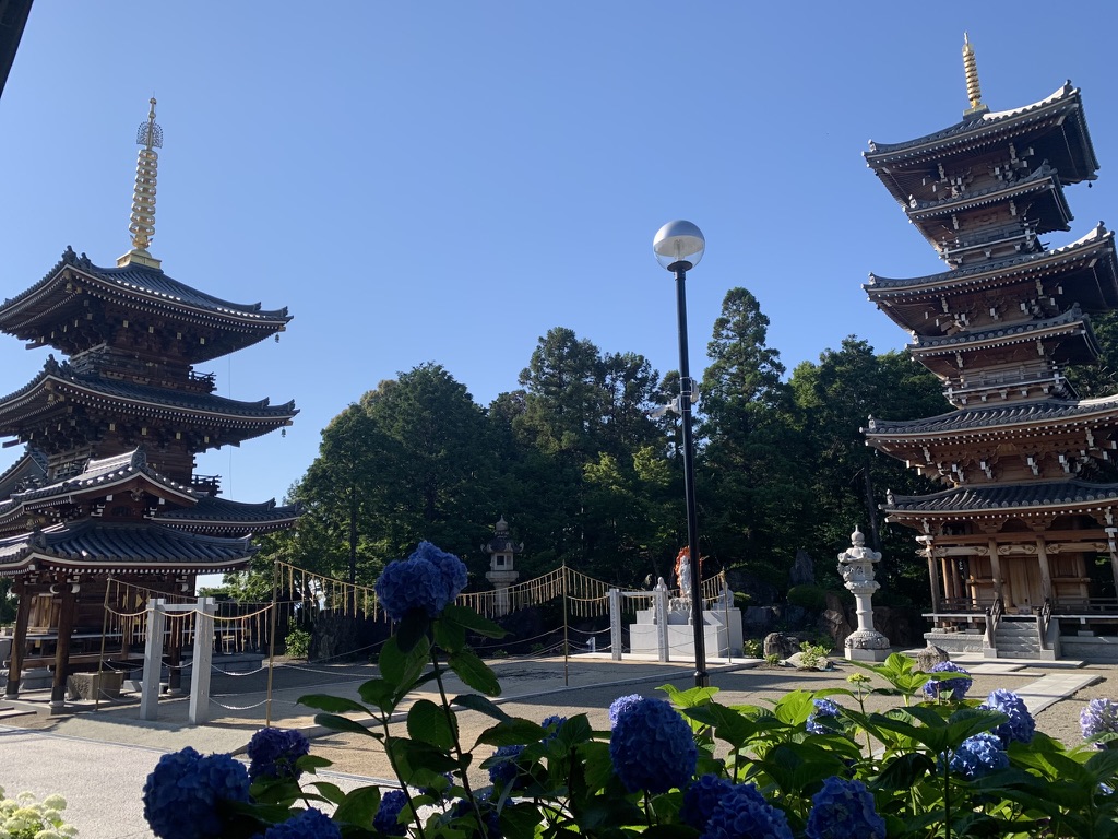 『長慶寺』に建つ二つの三重塔と紫陽花
