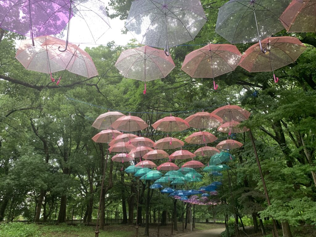 『長居植物園』に設置された「アンブレラスカイ」（2026年7月5日）