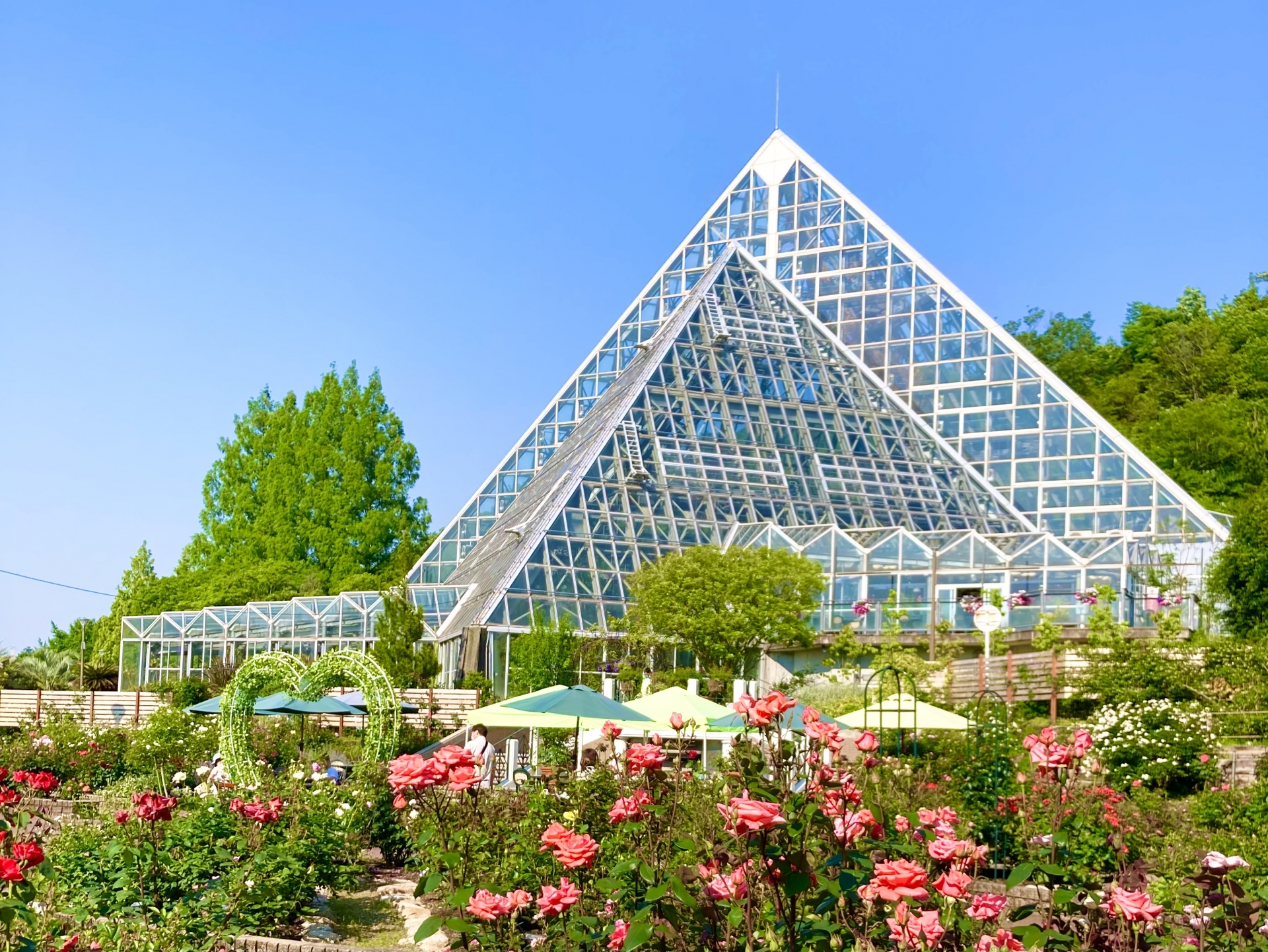 花の文化園 ピラミッド型大温室とバラ園 photoAC