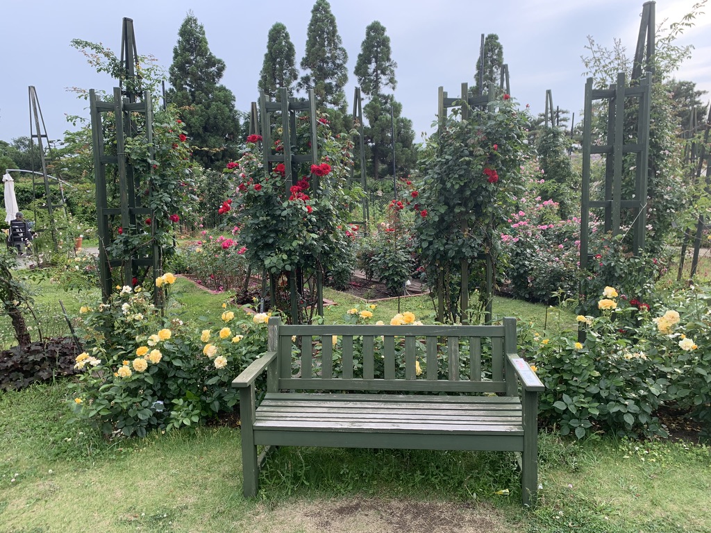 浜寺公園 薔薇庭園 まちの景