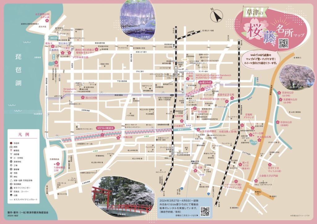 草津市の桜名所・藤名所デジタルマップ