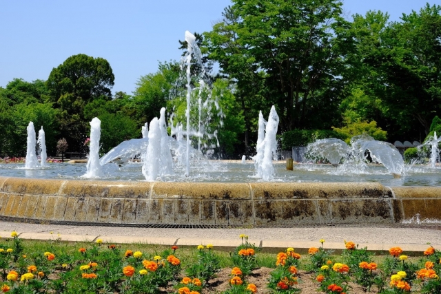 『兵庫県立フラワーセンター』で咲き誇るダリアたちと噴水