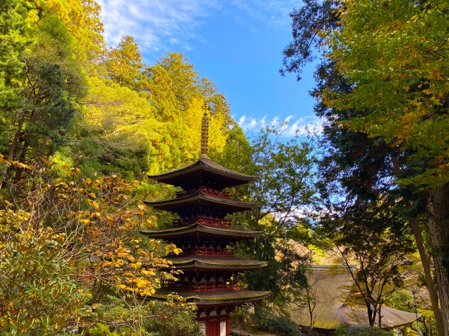 『室生寺』の五重塔と紅葉